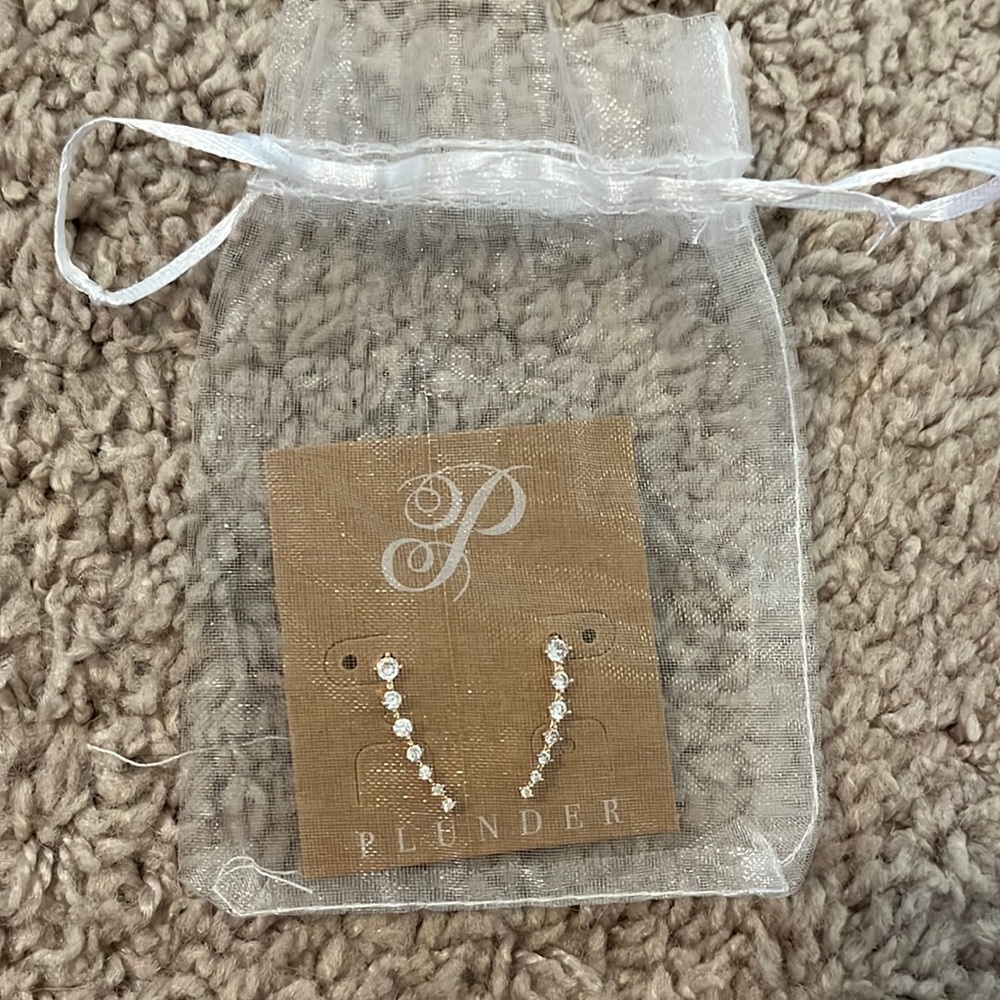 Plunder Earrings